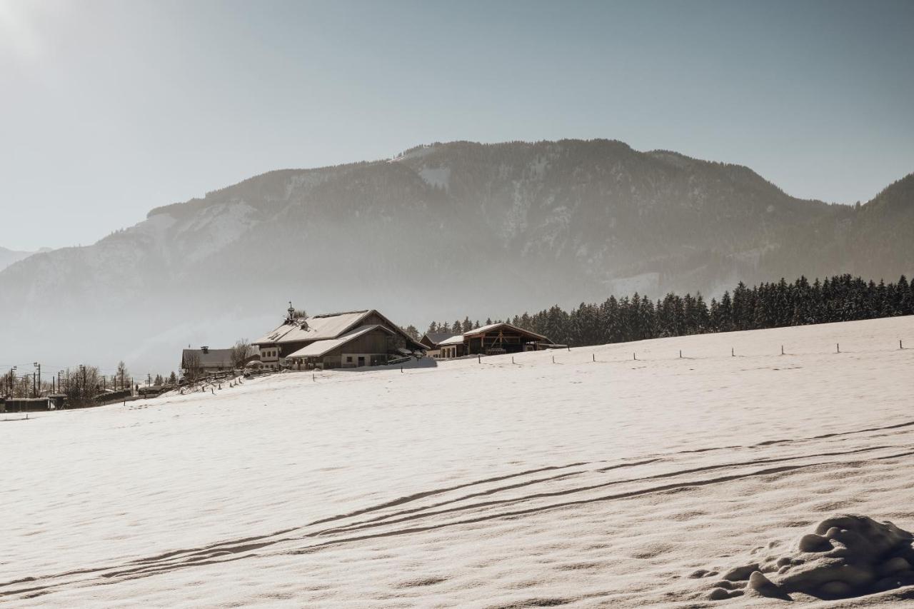 Apartament Bergblick Saalfelden Zewnętrze zdjęcie