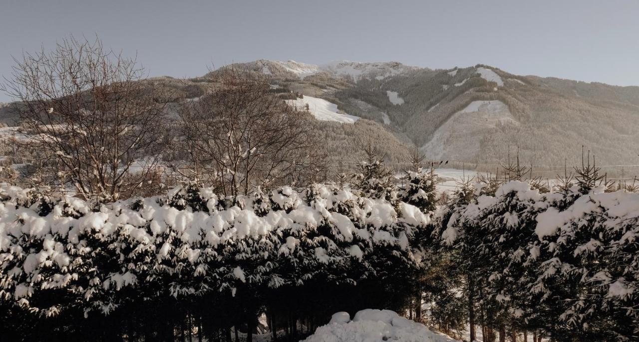 Apartament Bergblick Saalfelden Zewnętrze zdjęcie